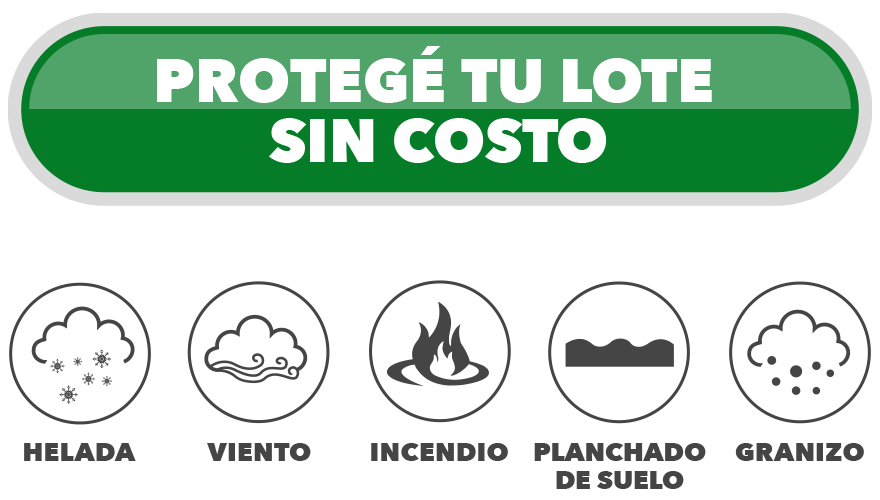 protege