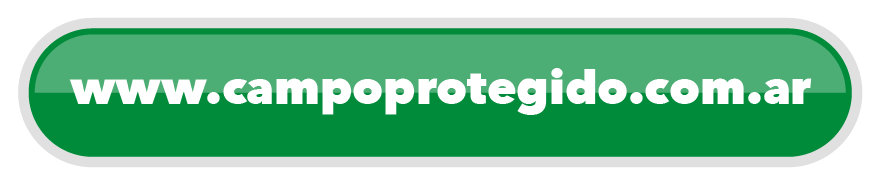 boton web
