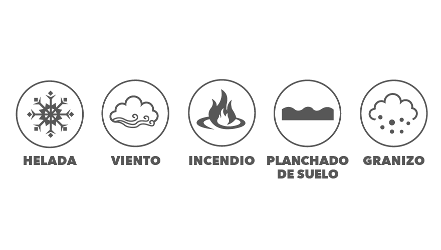 iconos problemas